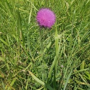 Meet your Posher, Georgia